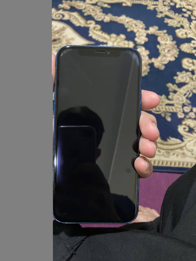 Apple iPhone 12 0