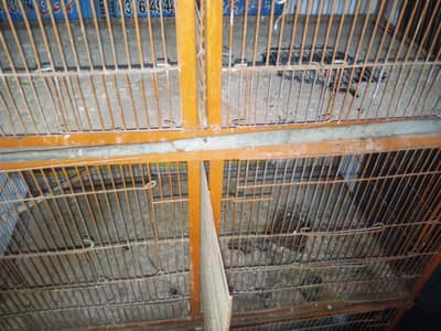 8 portion cage