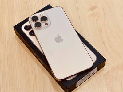 Apple iPhone 13 Pro Max