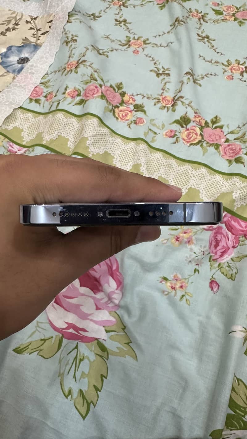 Apple iPhone 13 Pro Max 1