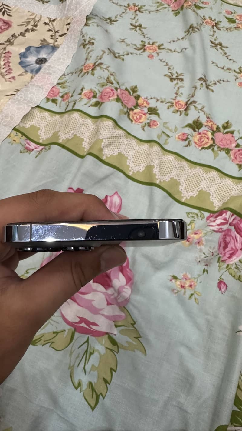 Apple iPhone 13 Pro Max 2