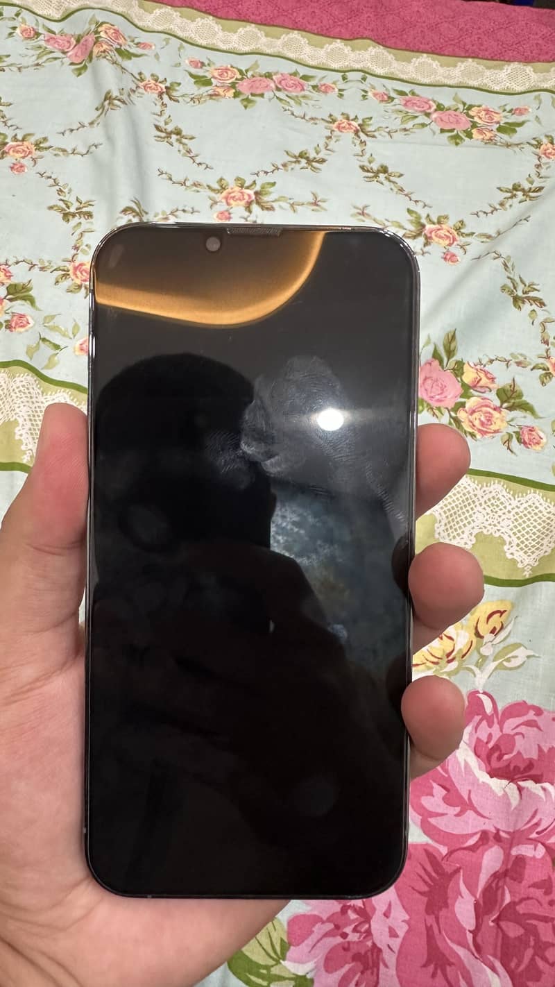 Apple iPhone 13 Pro Max 3