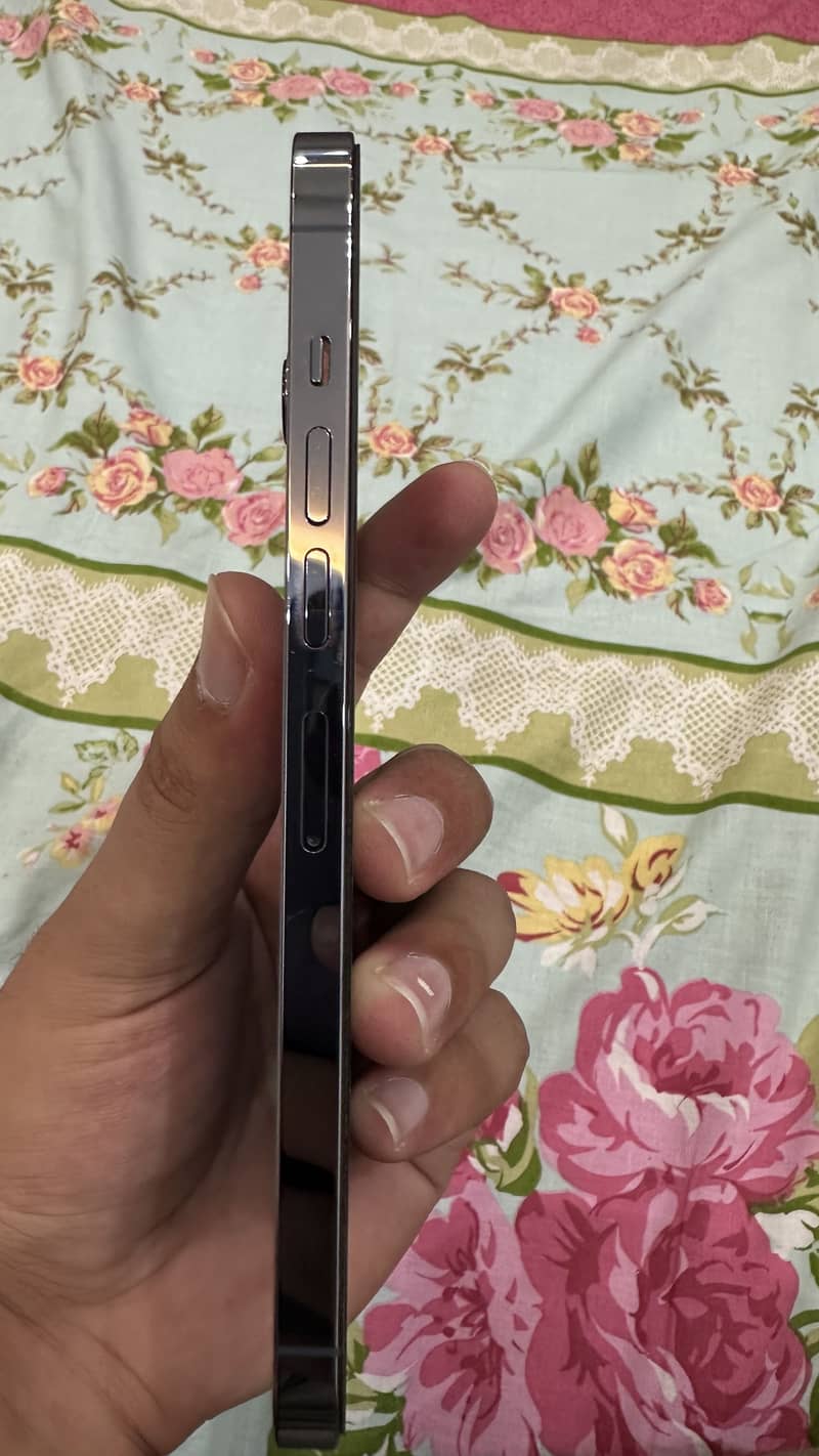 Apple iPhone 13 Pro Max 5