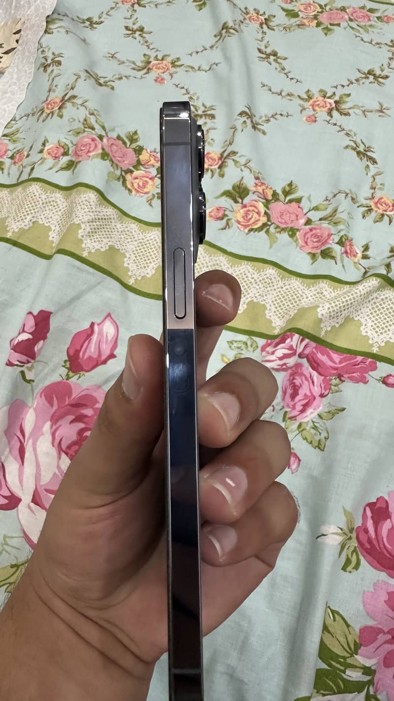 Apple iPhone 13 Pro Max 6