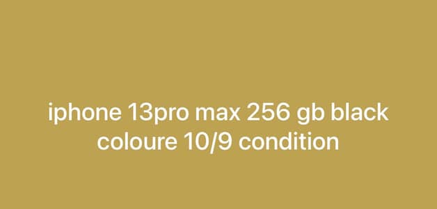 Apple iPhone 13 Pro Max