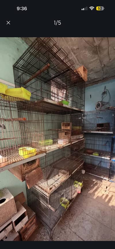 Pinjra / 8 portion cage