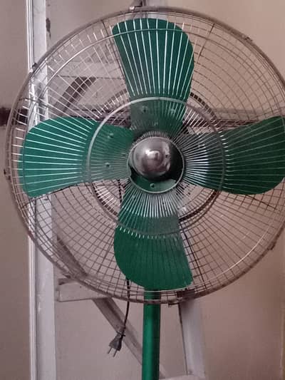 24 " size
