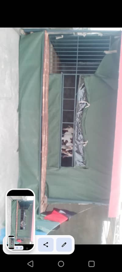 Goat shed for sale