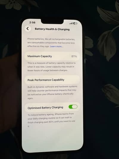 Apple iPhone 13 Pro Max