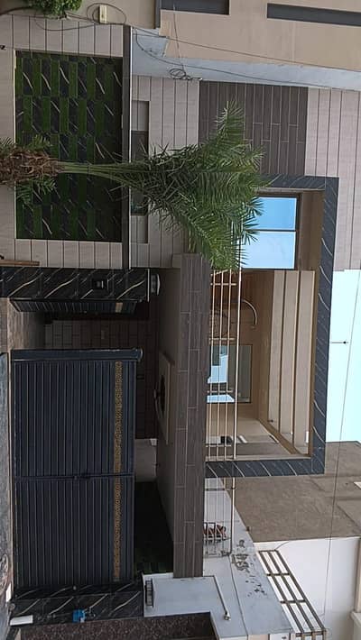 spacious house used by Doctor family