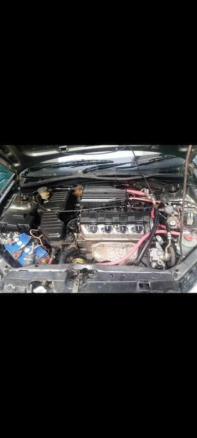 Honda Civic Prosmetic 2006