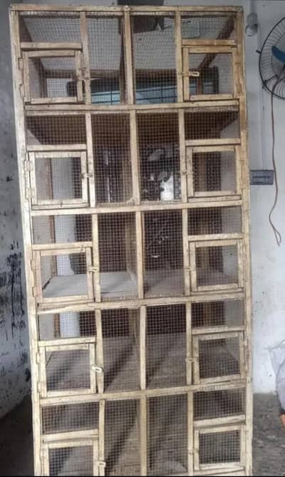 lovebird cage pinjra