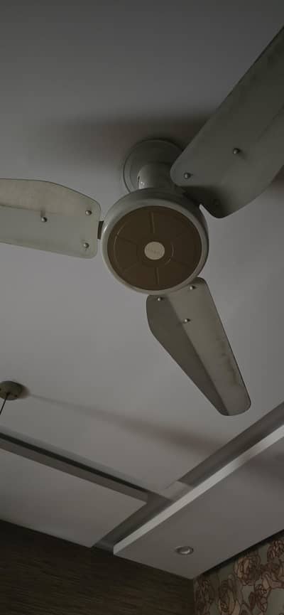 Ceiling Fans For Sale
