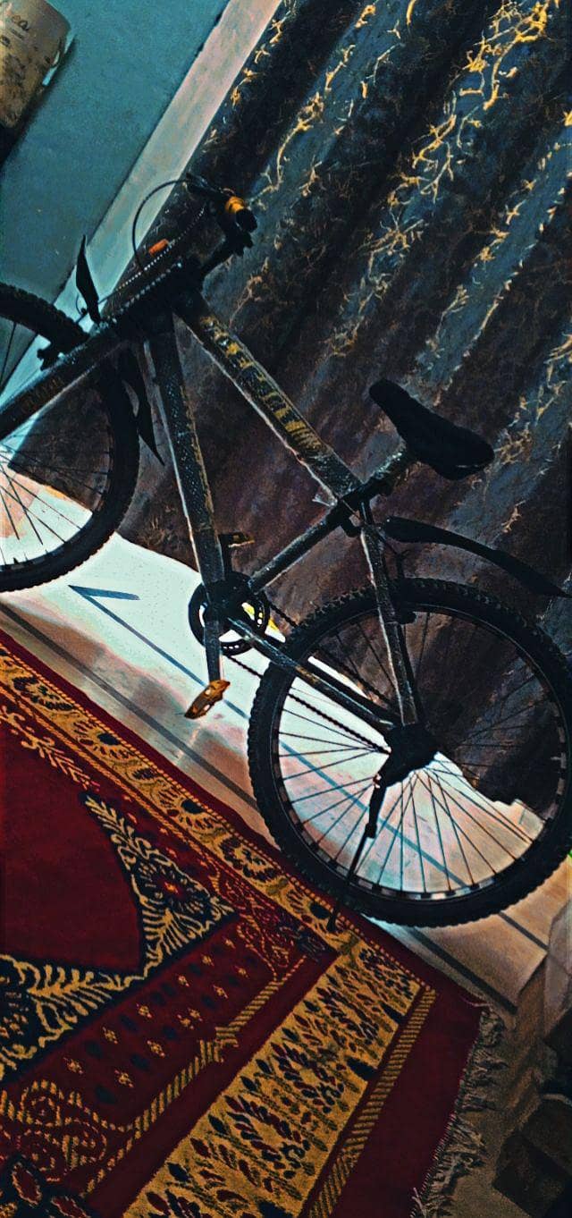 Bycycle 2