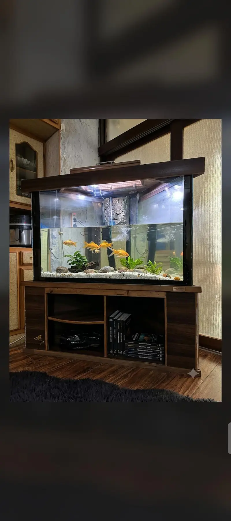fish aquarium — photo 2