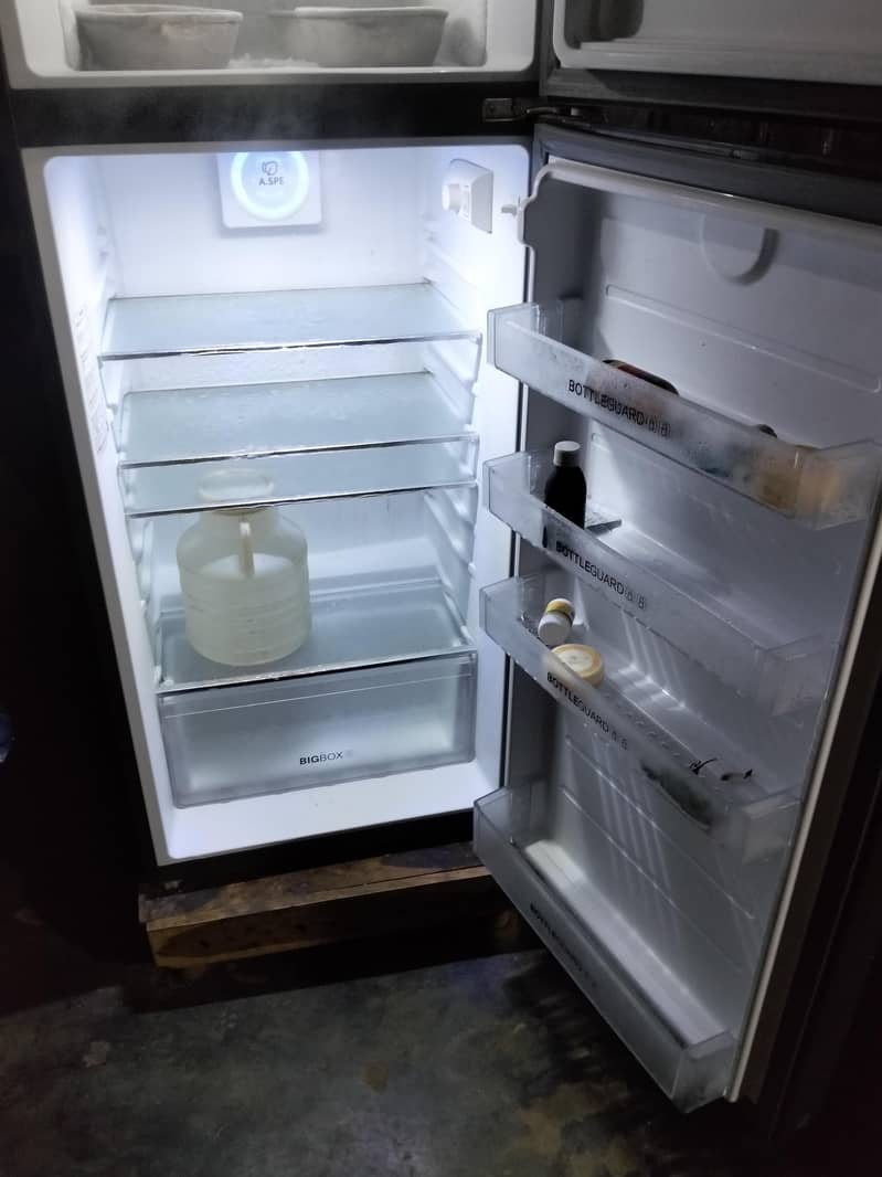 freezer 1