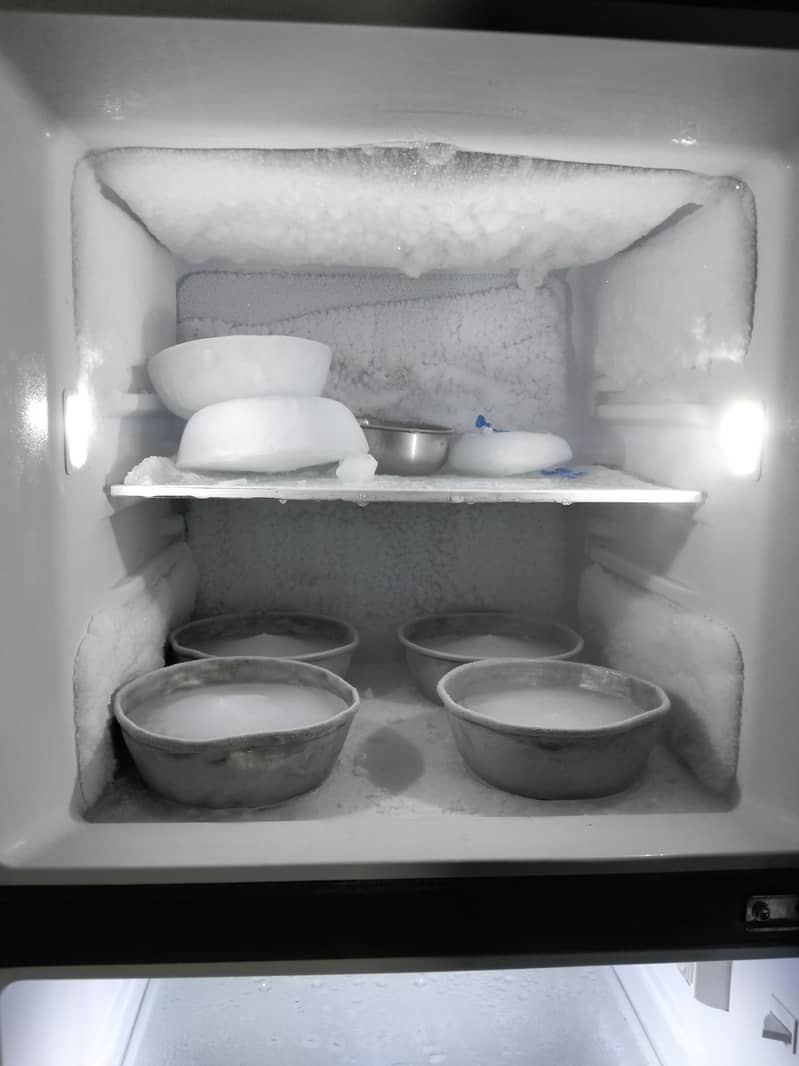 freezer 2