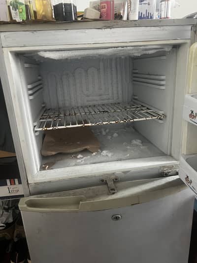 Pel refrigerator on sale
