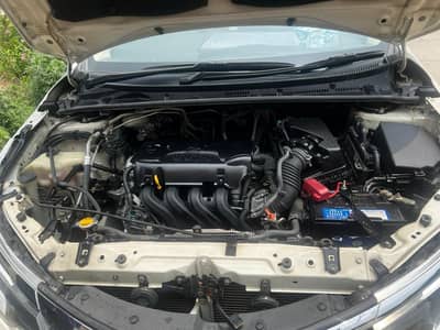 Toyota Corolla GLI 2019