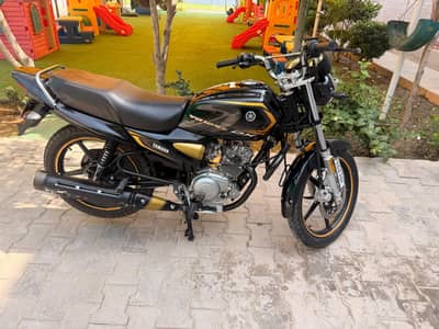 YAMAHA YBZ125 DX