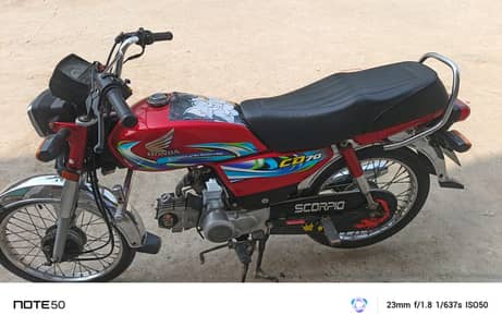 CD70 2024