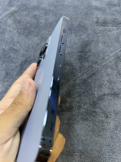 Apple iPhone 13 Pro Home used phone