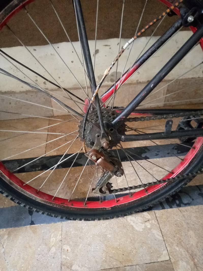 Bicycle 5