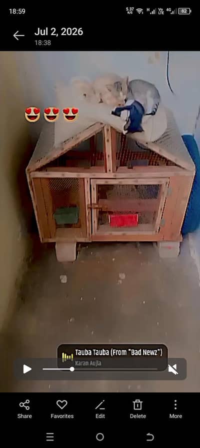 wood cage