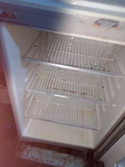 Fridge Dawlance