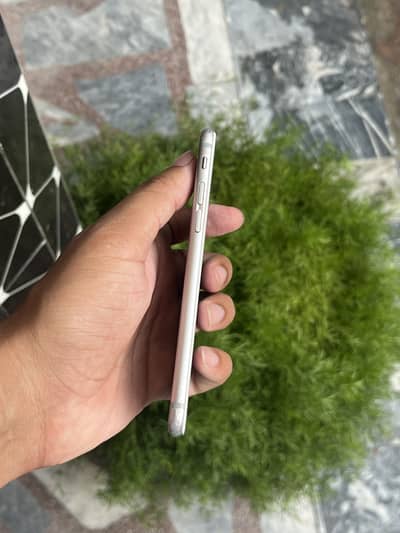 Apple iPhone 6