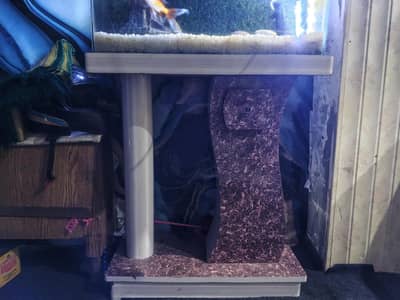 Complete Aquarium Setup with Fish, Stand & Accessories – Ready to Use