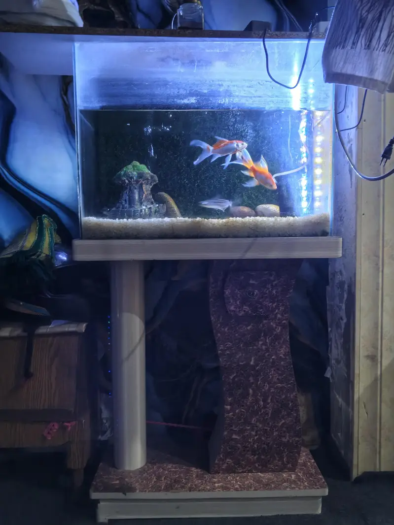 Complete Aquarium Setup with Fish, Stand & Accessories – Ready to Use — photo 2