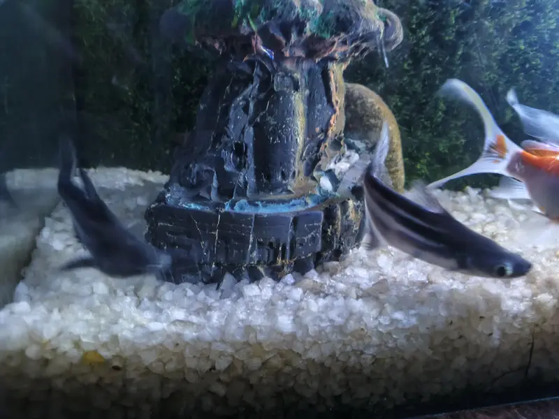 Complete Aquarium Setup with Fish, Stand & Accessories – Ready to Use — photo 7