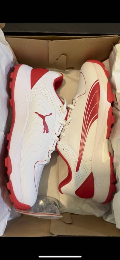 Puma cricket Spikes