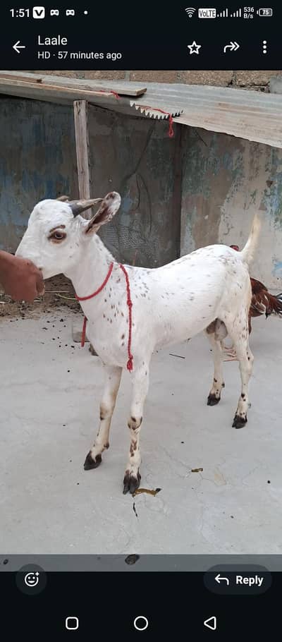 I am selling bakary 2