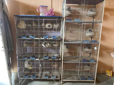 Java ka pair ha 12 or fishar ha 5 pair sab biridar ha 100/ parson