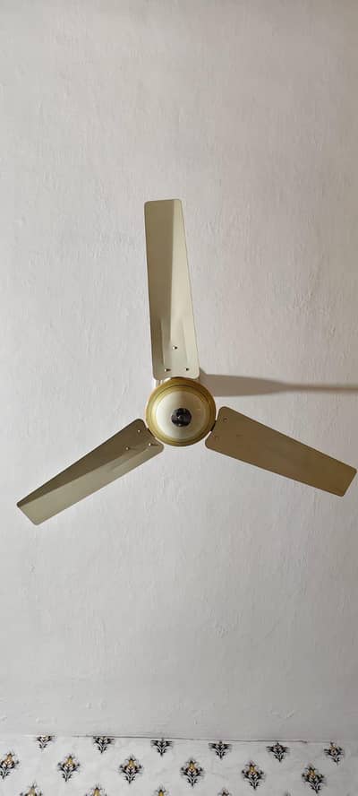 6x GFC and 2x SKS Cieling Fans