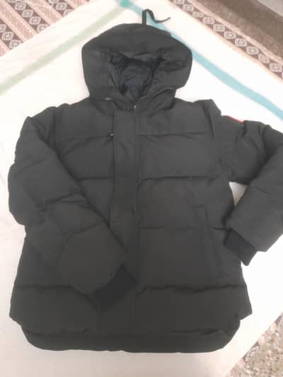 Canada gooes jacket (Seymour parka)