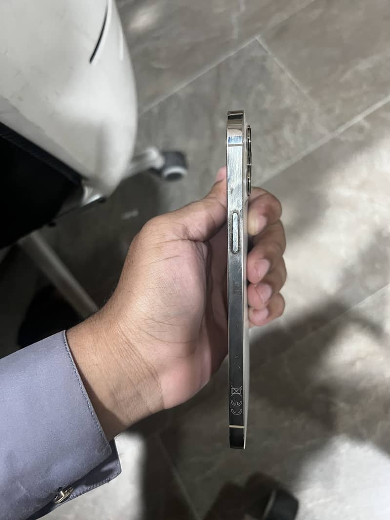Apple iPhone 12 Pro Max 1