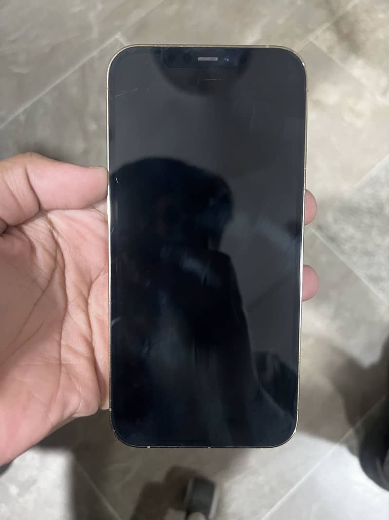 Apple iPhone 12 Pro Max 2