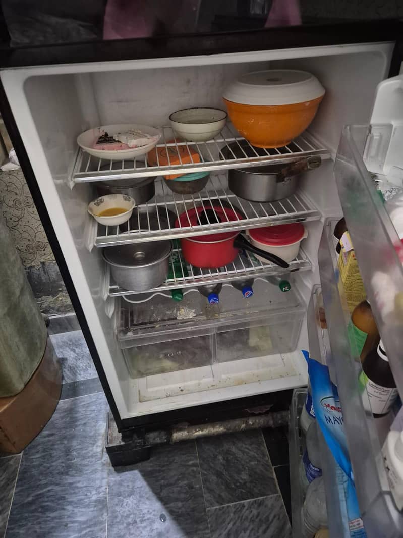 freezer 2
