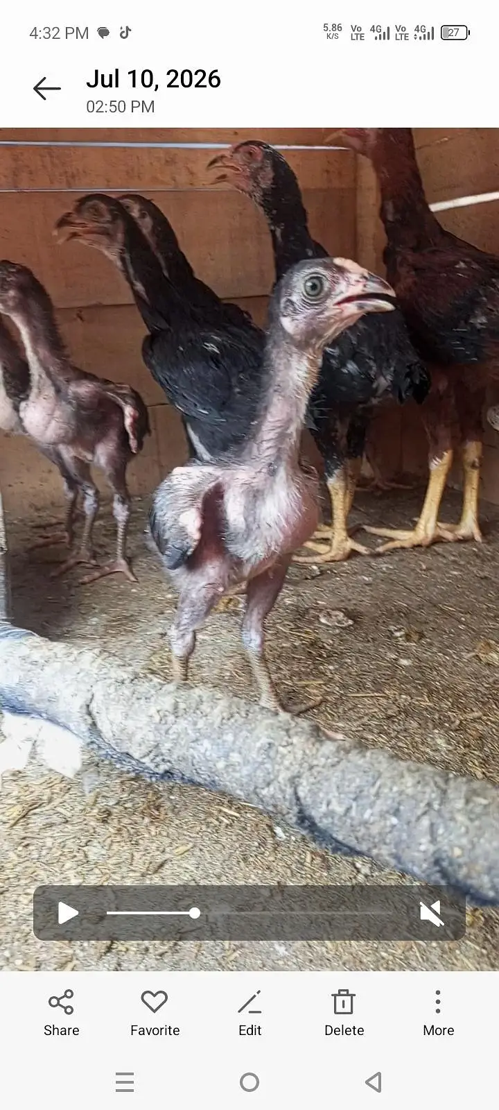 burmi+pkoya — photo 9