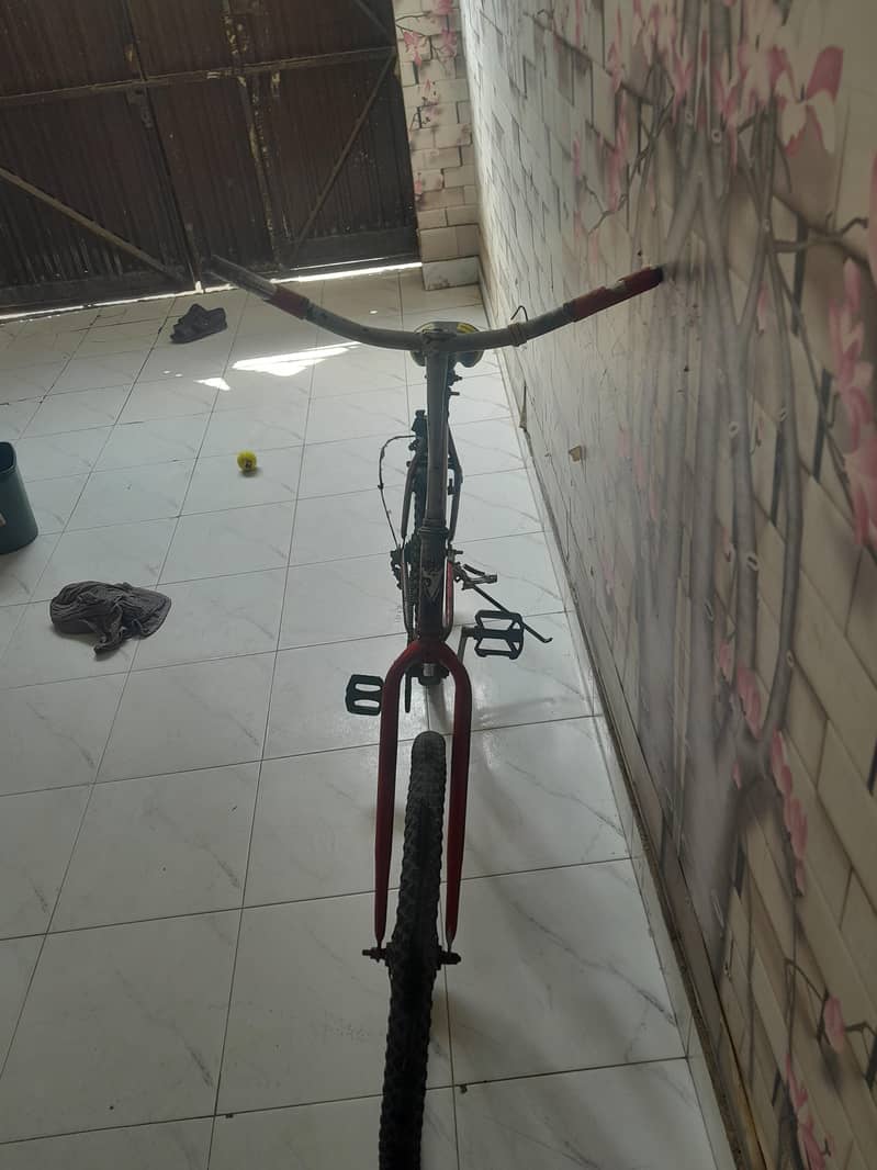 bycycle 1