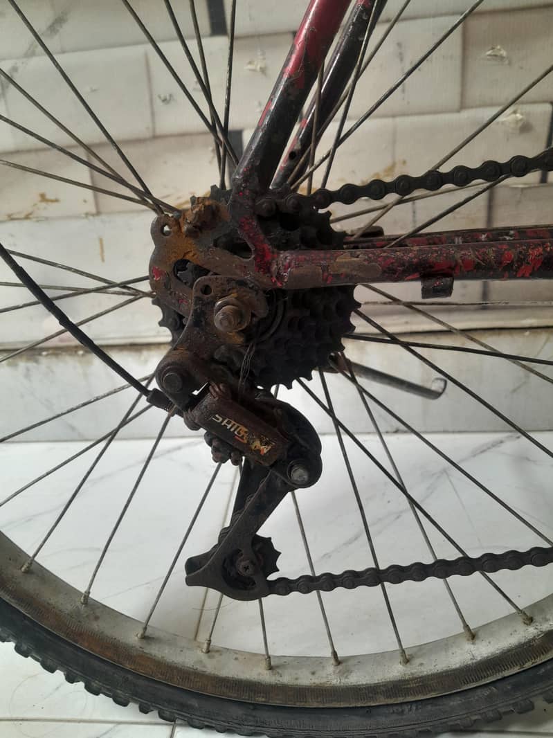 bycycle 2