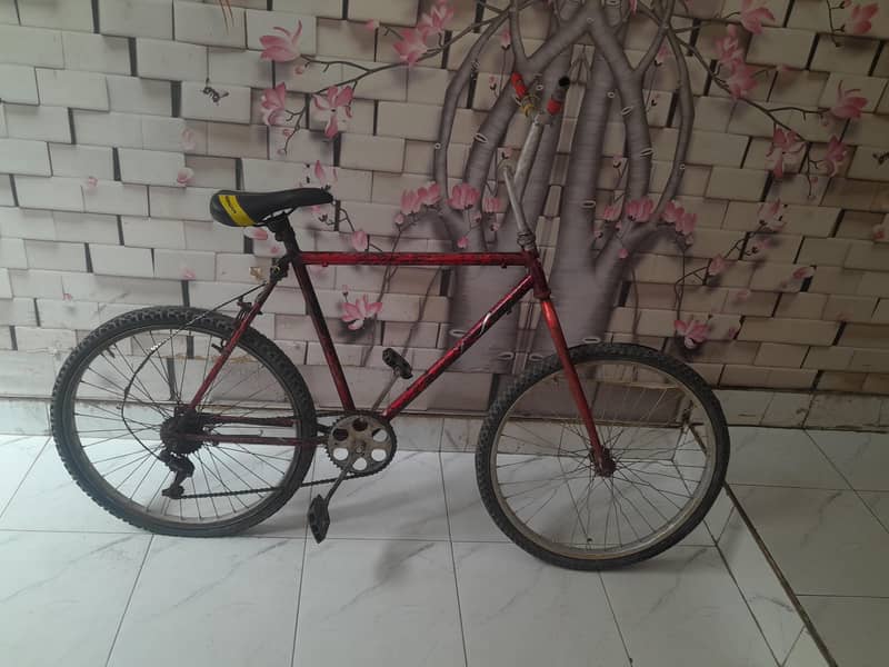 bycycle 3