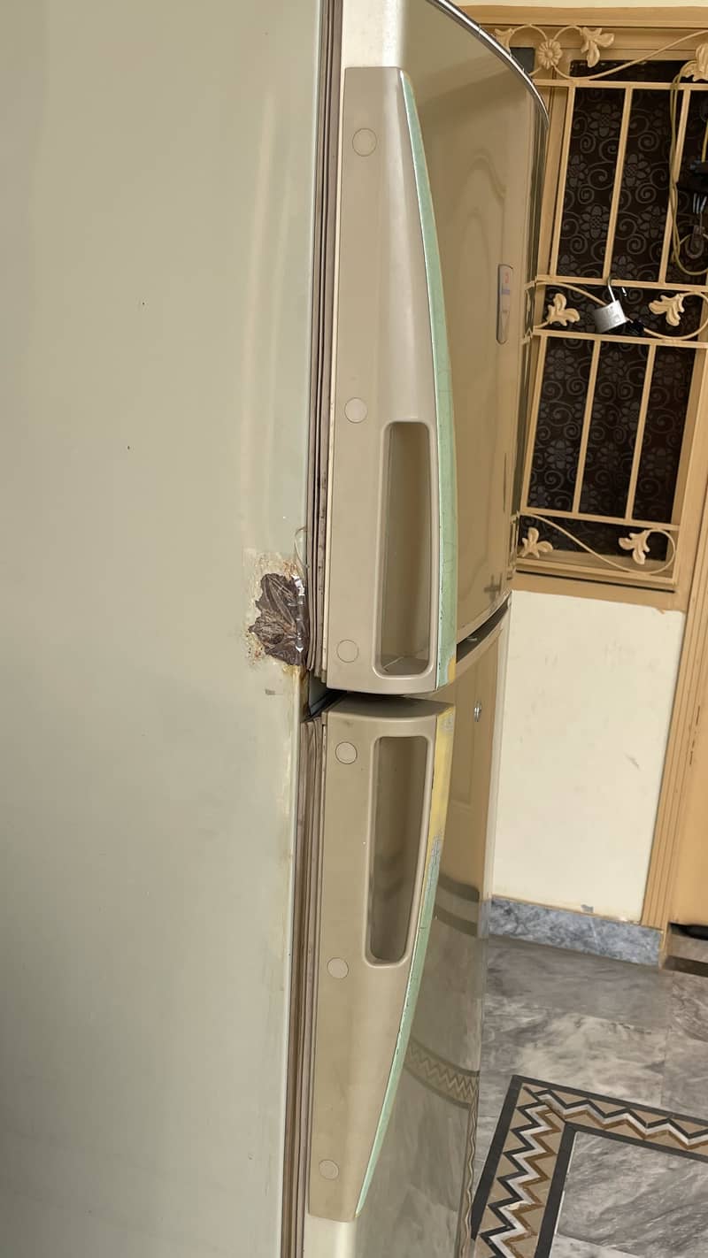 frige 1