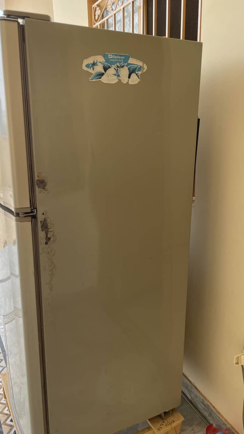frige 2