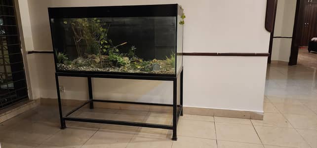 Tempered Glass Aquarium with Stand [ Black Colour ]