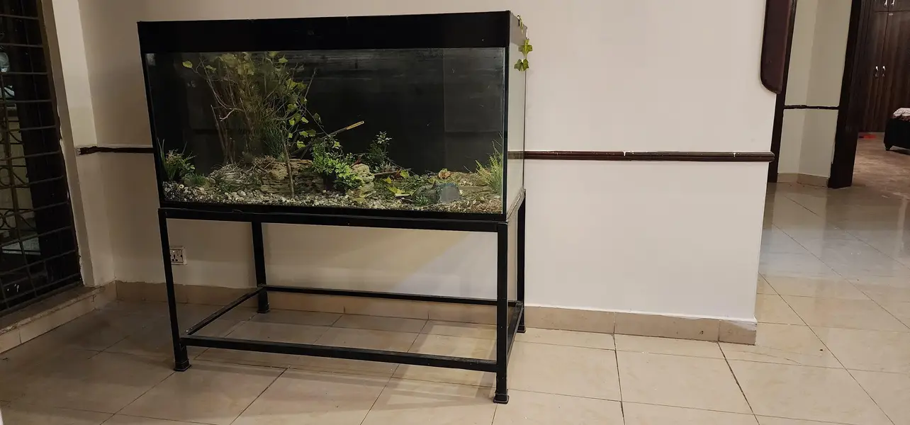 Tempered Glass Aquarium with Stand [ Black Colour ]
