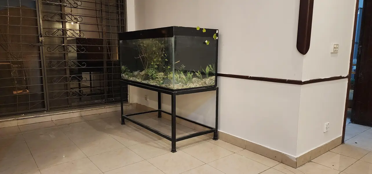 Tempered Glass Aquarium with Stand [ Black Colour ] — photo 2